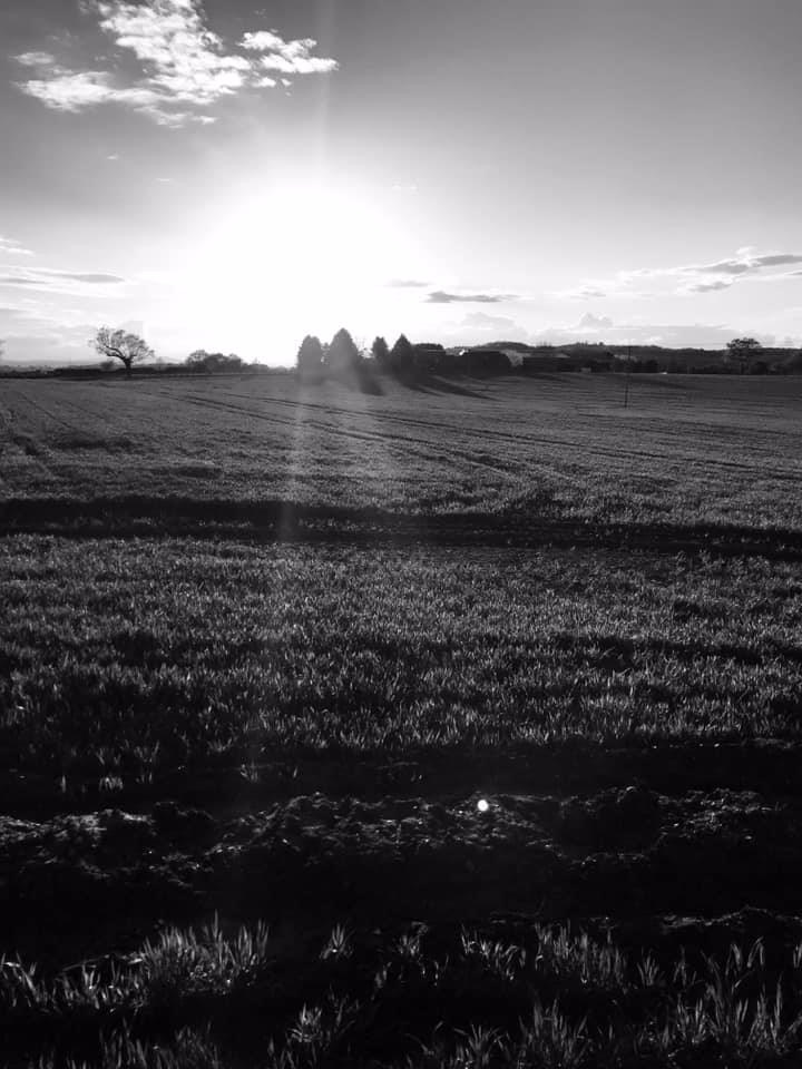 The Unitive Experience.